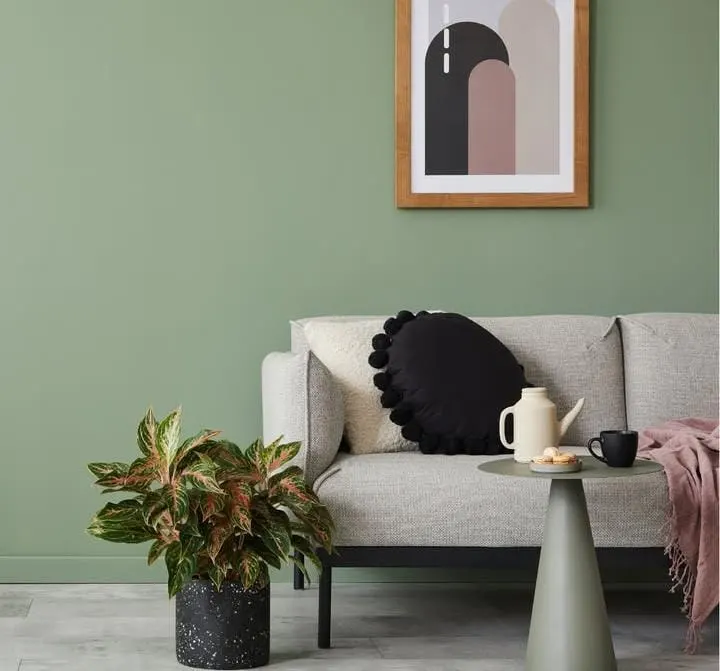 15 Living Room Paint Color Ideas That Will Transform Your Space 3 Soft Sage Green Serenity