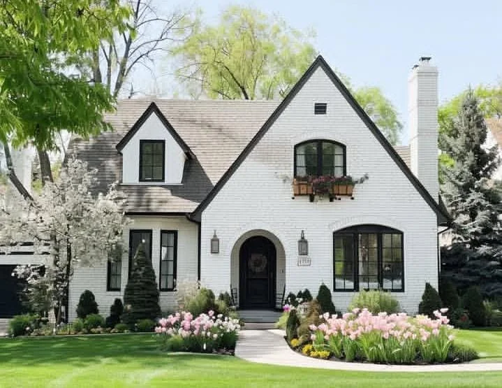 Classic White with Black Trim